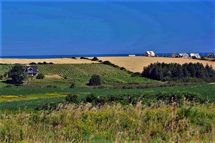 countryside